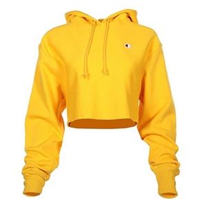 Champion cropped hoodie